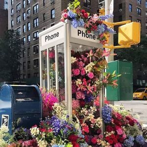 Meet your Posher, Paul